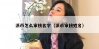 派币怎么审核名字（派币审核姓名）