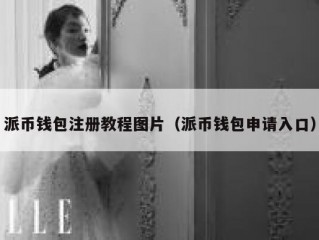 派币钱包注册教程图片（派币钱包申请入口）