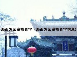 派币怎么审核名字（派币怎么审核名字信息）