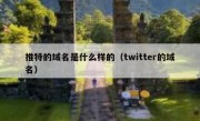 推特的域名是什么样的（twitter的域名）