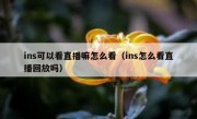 ins可以看直播嘛怎么看（ins怎么看直播回放吗）