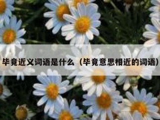 毕竟近义词语是什么（毕竟意思相近的词语）
