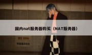 国内nat服务器购买（NAT服务器）