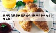 视频号花钱涨粉是真的吗（视频号涨粉为什么那么慢）