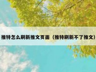 推特怎么刷新推文页面（推特刷新不了推文）