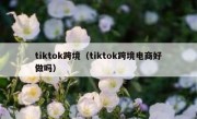 tiktok跨境（tiktok跨境电商好做吗）