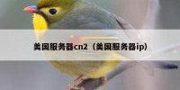 美国服务器cn2（美国服务器ip）