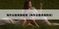 海外云服务器租用（海外云服务器购买）