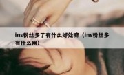 ins粉丝多了有什么好处嘛（ins粉丝多有什么用）