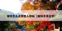 推特怎么点赞他人转帖（推特手滑点赞）