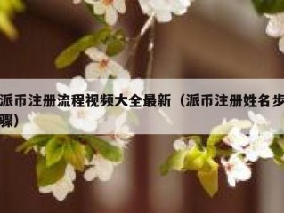 派币注册流程视频大全最新（派币注册姓名步骤）