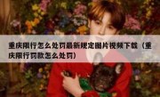 重庆限行怎么处罚最新规定图片视频下载（重庆限行罚款怎么处罚）