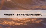 暗区是什么（左侧卵巢内囊性暗区是什么）