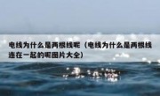 电线为什么是两根线呢（电线为什么是两根线连在一起的呢图片大全）