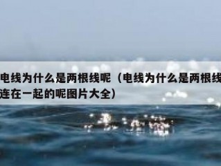 电线为什么是两根线呢（电线为什么是两根线连在一起的呢图片大全）