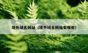 境外域名网站（境外域名网站有哪些）