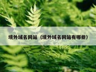 境外域名网站（境外域名网站有哪些）