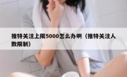 推特关注上限5000怎么办啊（推特关注人数限制）