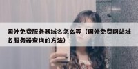国外免费服务器域名怎么弄（国外免费网站域名服务器查询的方法）