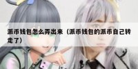 派币钱包怎么弄出来（派币钱包的派币自己转走了）