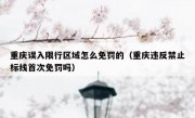 重庆误入限行区域怎么免罚的（重庆违反禁止标线首次免罚吗）