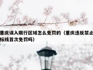 重庆误入限行区域怎么免罚的（重庆违反禁止标线首次免罚吗）