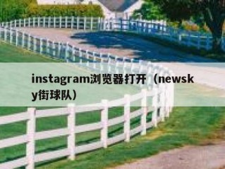 instagram浏览器打开（newsky街球队）