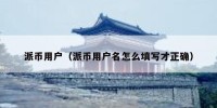派币用户（派币用户名怎么填写才正确）