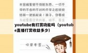 youtube有打赏功能吗（youtube直播打赏收益多少）