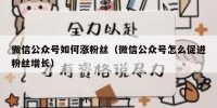 微信公众号如何涨粉丝（微信公众号怎么促进粉丝增长）