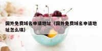 国外免费域名申请地址（国外免费域名申请地址怎么填）