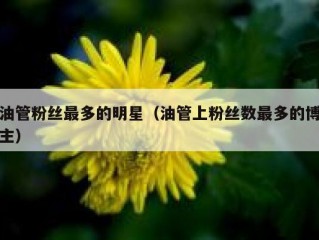 油管粉丝最多的明星（油管上粉丝数最多的博主）