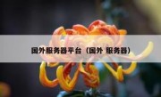国外服务器平台（国外 服务器）
