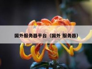 国外服务器平台（国外 服务器）