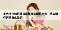 重庆限行如何处罚最新规定图片查询（重庆限行罚款怎么处罚）