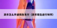 派币怎么开通钱包支付（派币现在进行如何）