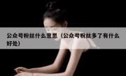 公众号粉丝什么意思（公众号粉丝多了有什么好处）