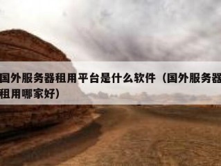 国外服务器租用平台是什么软件（国外服务器租用哪家好）