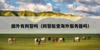国外有网警吗（网警能查海外服务器吗）