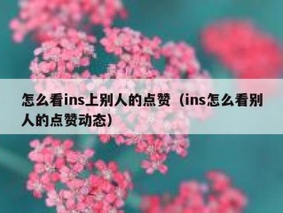 怎么看ins上别人的点赞（ins怎么看别人的点赞动态）