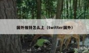 国外推特怎么上（twitter国外）