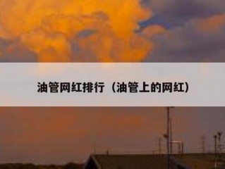 油管网红排行（油管上的网红）