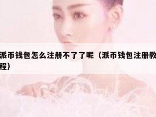派币钱包怎么注册不了了呢（派币钱包注册教程）