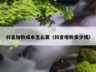 抖音加粉成本怎么算（抖音增粉多少钱）
