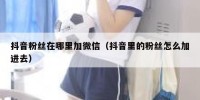 抖音粉丝在哪里加微信（抖音里的粉丝怎么加进去）