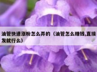 油管快速涨粉怎么弄的（油管怎么赚钱,直接发就行么）
