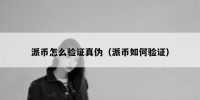 派币怎么验证真伪（派币如何验证）
