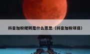 抖音加粉规则是什么意思（抖音加粉项目）