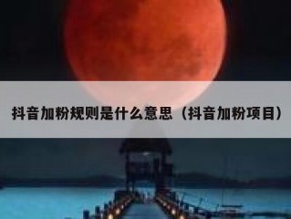 抖音加粉规则是什么意思（抖音加粉项目）