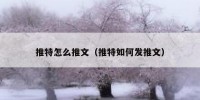 推特怎么推文（推特如何发推文）